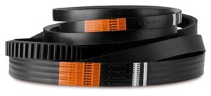 Picture of X696623400000 belt suitable for AGCO Parts